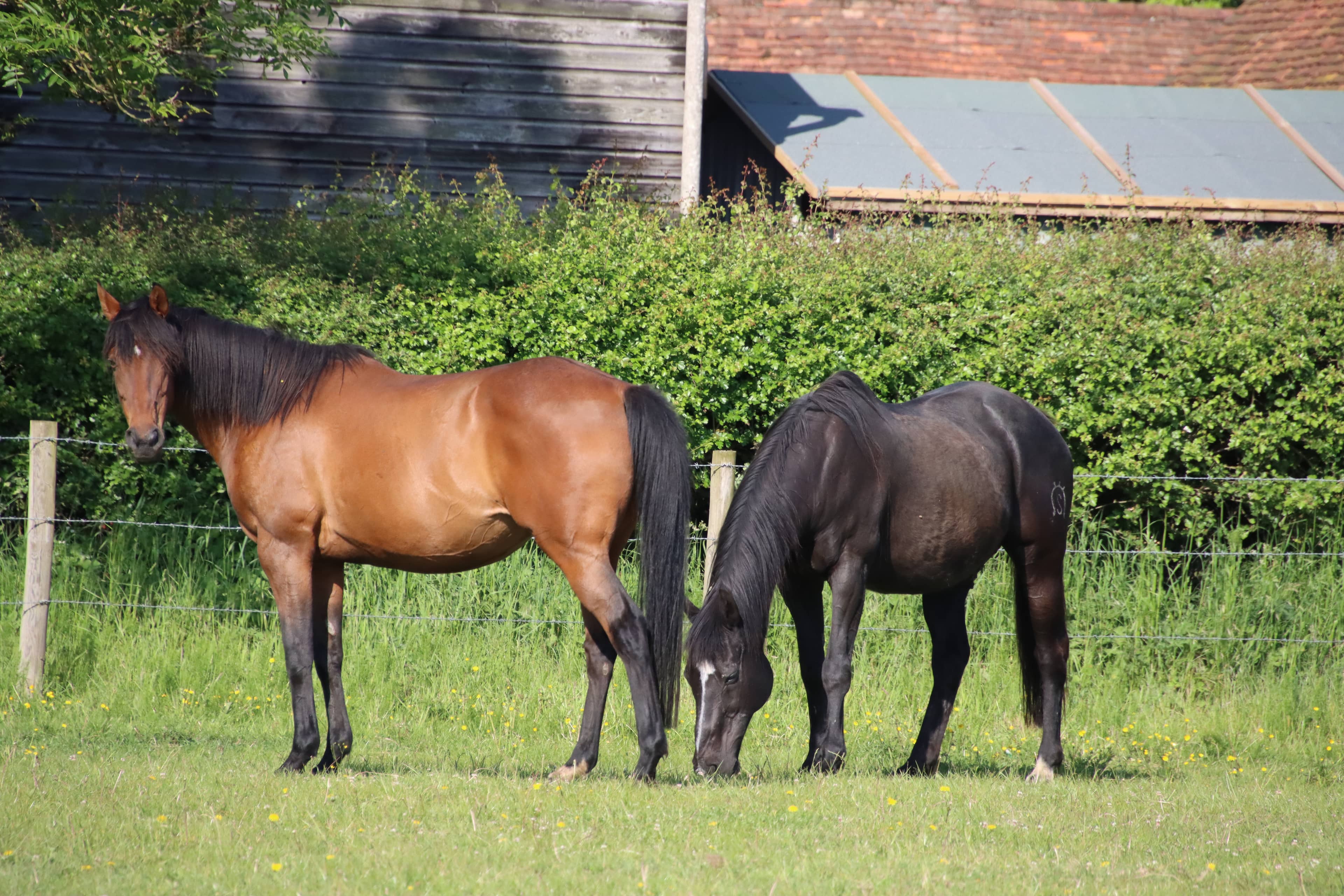 The Stirling Trust team